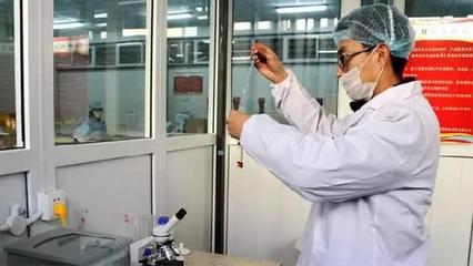 强肝益肾明目填精 宁夏枸杞与空气净化设备研发的跨界启示